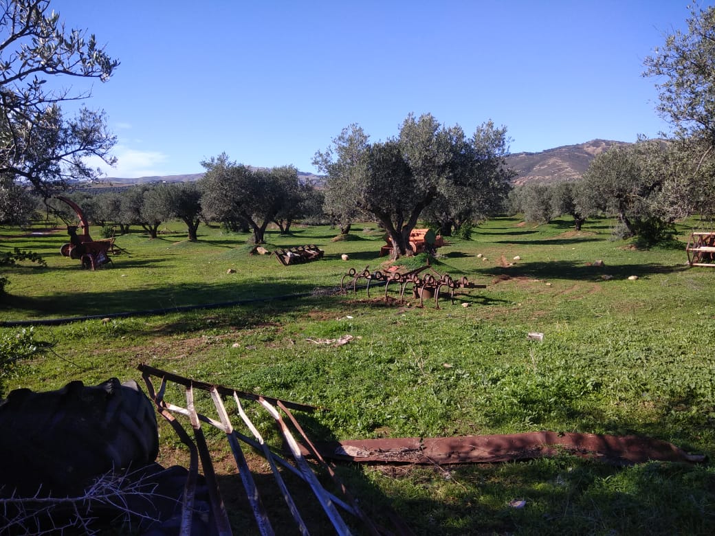 You are currently viewing استرجاع ضيعة دولية فلاحية بولاية منوبة على مساحة 542 هك.