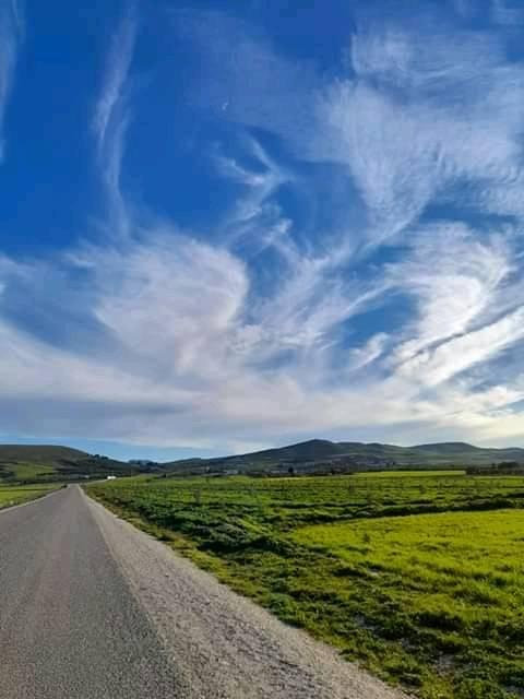 You are currently viewing Le Kef : récupération de 3 lots domaniaux agricoles d&rsquo;une superficie de 23 he.