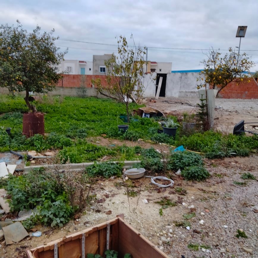 You are currently viewing Manouba : Récupération d&rsquo;un terrain domanial de 15000 M2.