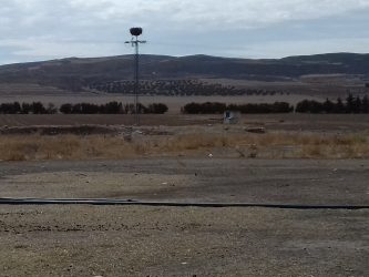 Lire la suite à propos de l’article Le ministère des domaines de l&rsquo;Etat récupère une ferme domaniale agricole de 728 he au Kef.