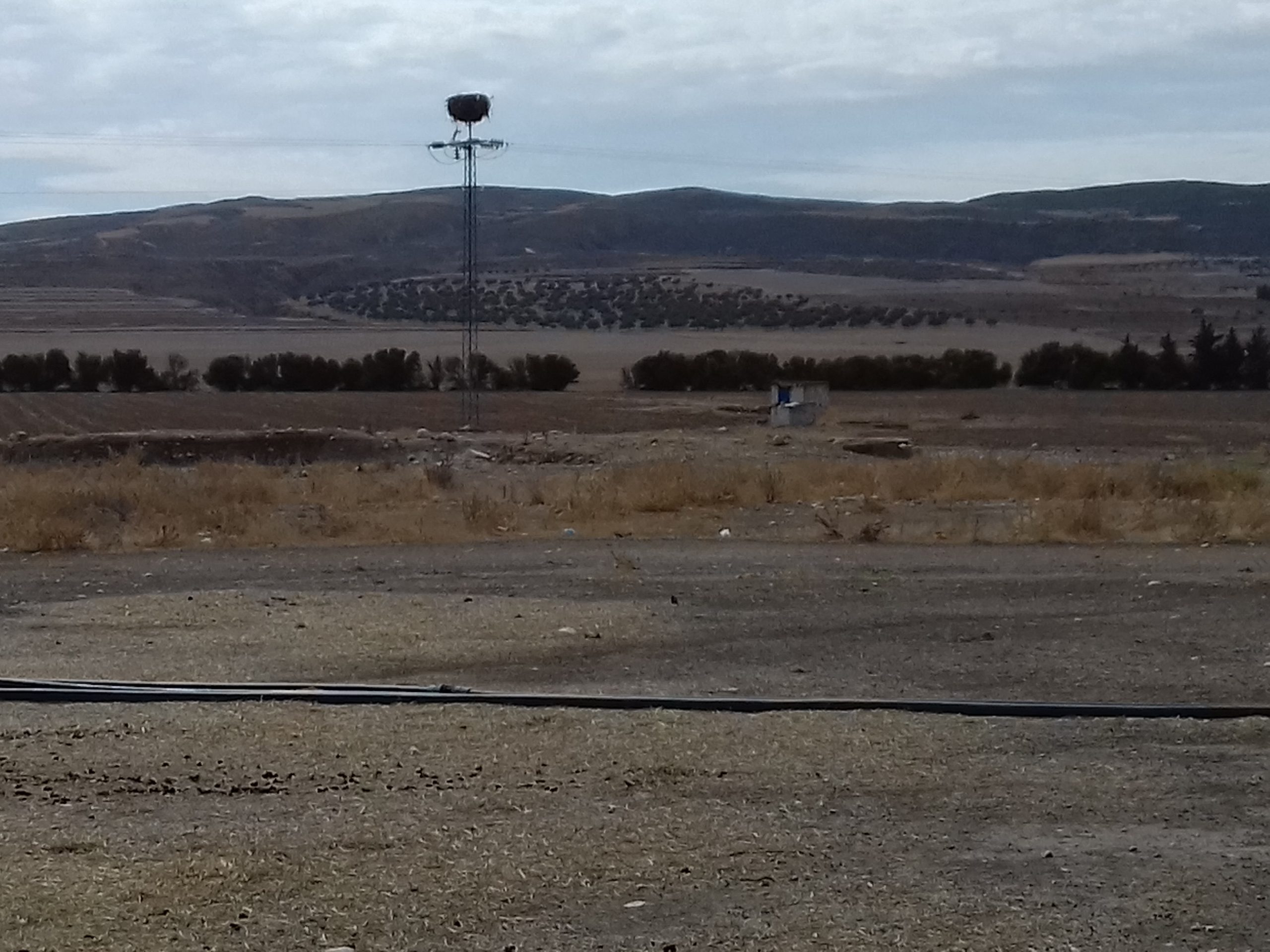 You are currently viewing Le ministère des domaines de l&rsquo;Etat récupère une ferme domaniale agricole de 728 he au Kef.