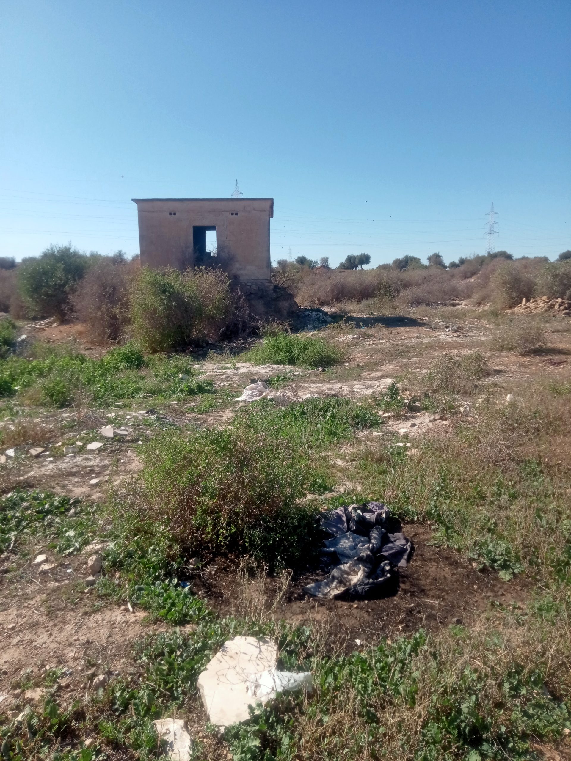 You are currently viewing Manouba : récupération d&rsquo;un terrain domanial agricole de 113 he.