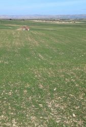 Lire la suite à propos de l’article Le ministère des domaines de l&rsquo;Etat récupère un terrain domanial agricole de 35 he à Siliana.