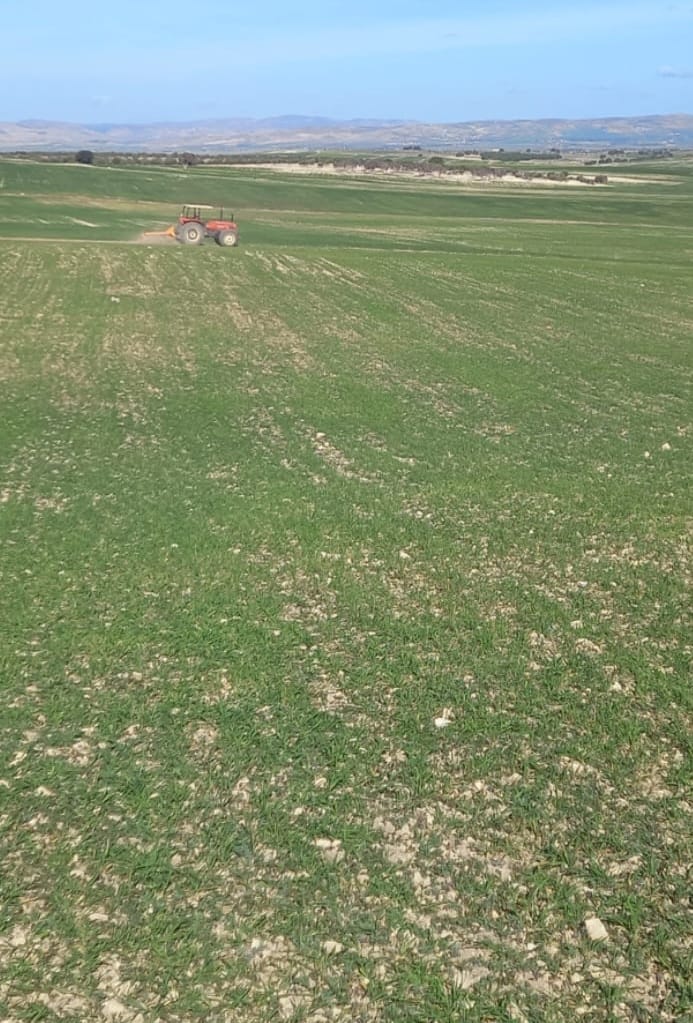 You are currently viewing Le ministère des domaines de l&rsquo;Etat récupère un terrain domanial agricole de 35 he à Siliana.