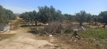 Lire la suite à propos de l’article Manouba : Récupération d&rsquo;un terrain domanial agricole de 19 hectares.